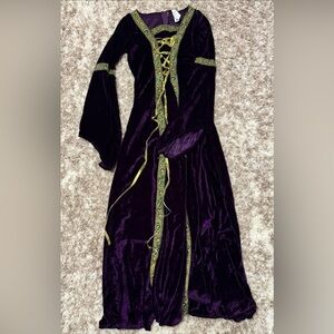 Elegant Purple Medieval Velvet Dress